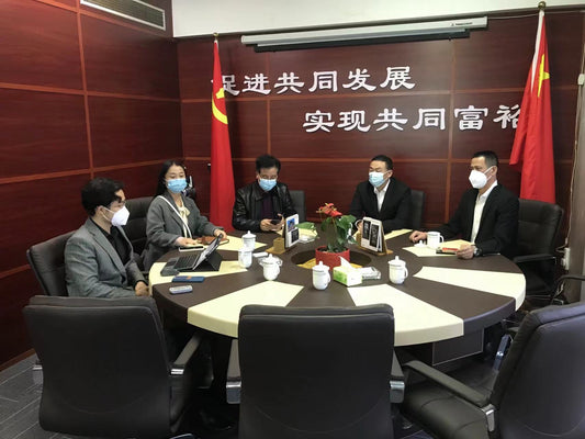 Discussing Development Strategies and Moving Towards Common Prosperity