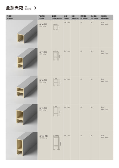 Ceiling 40*45