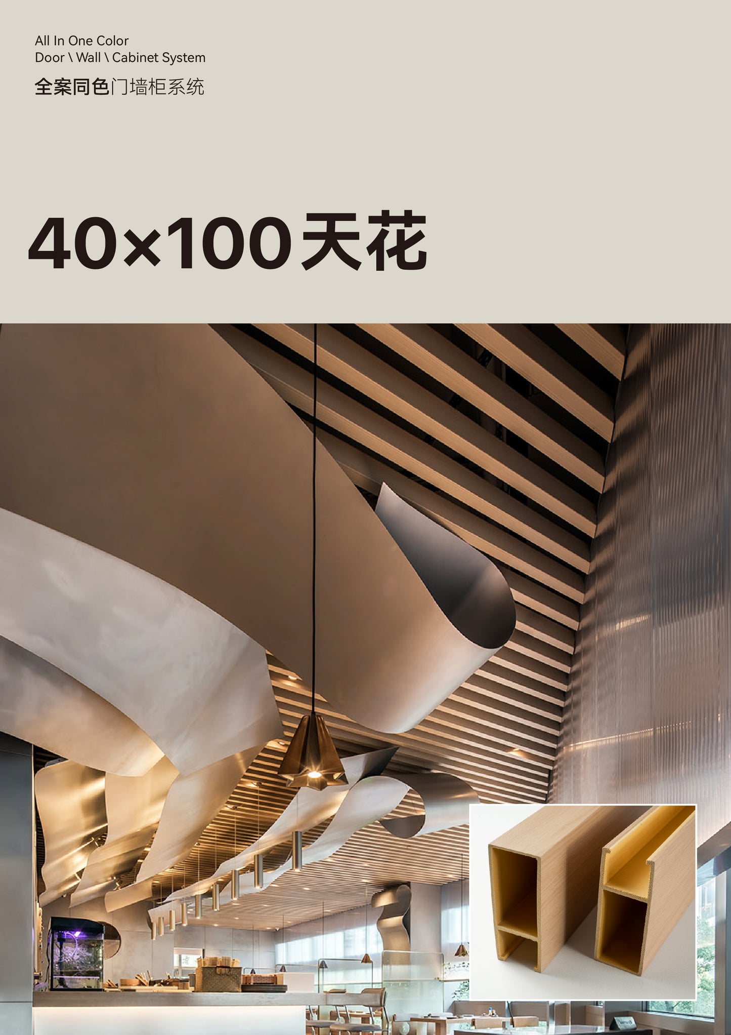 Ceiling 40*100mm