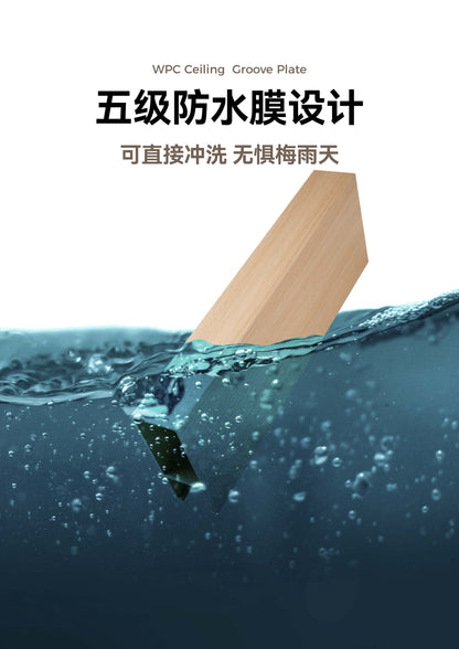 Ceiling 40*100mm