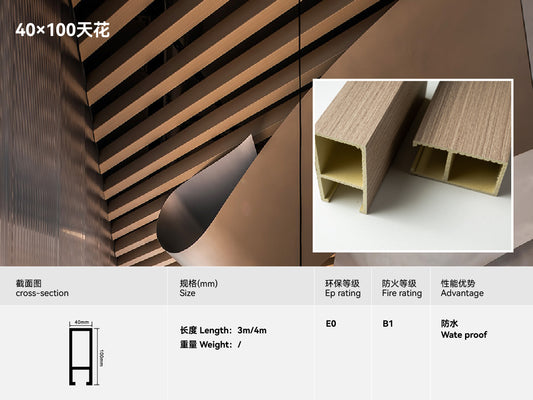 Ceiling 40*100mm