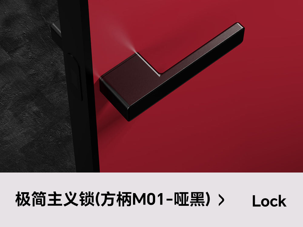 Minimalist Door Lock