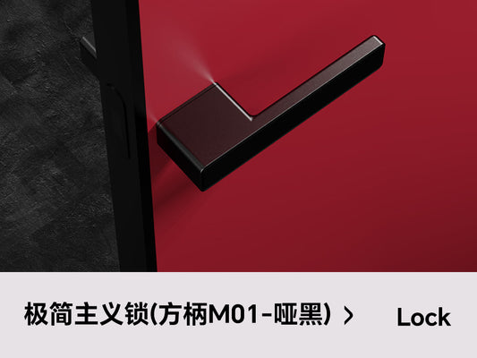 Minimalist Door Lock