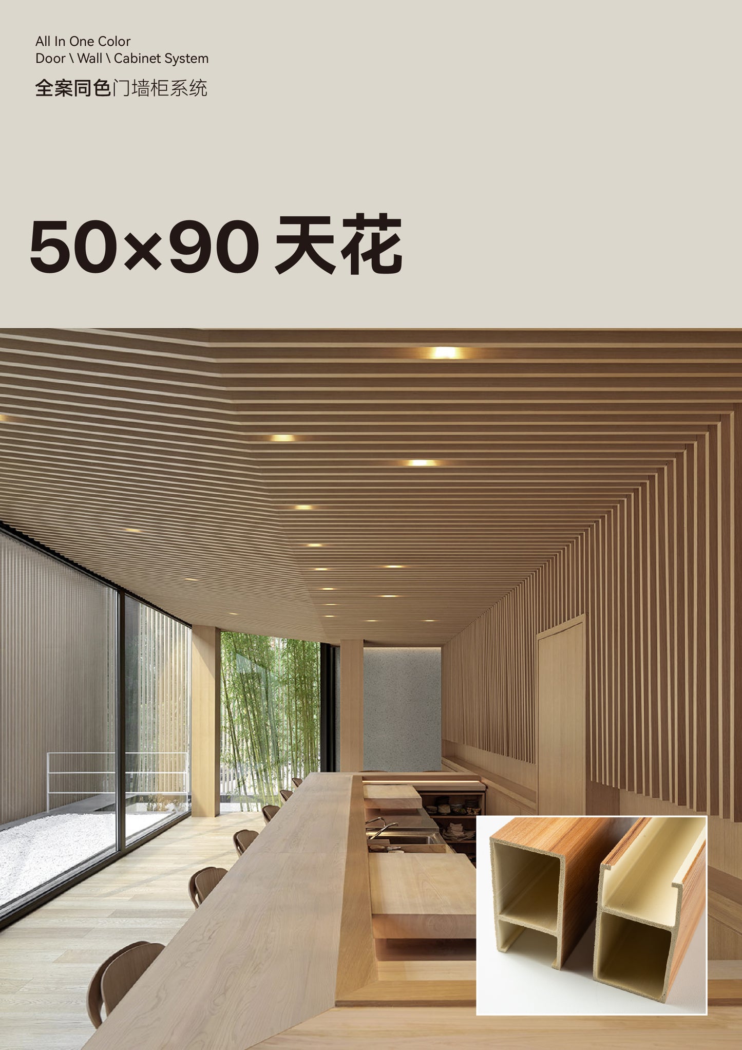 Ceiling 50*90