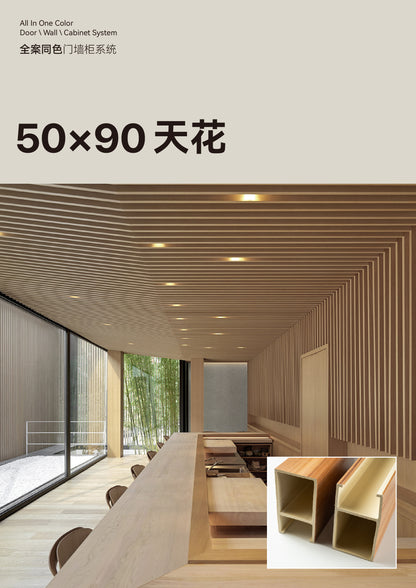 Ceiling 50*90