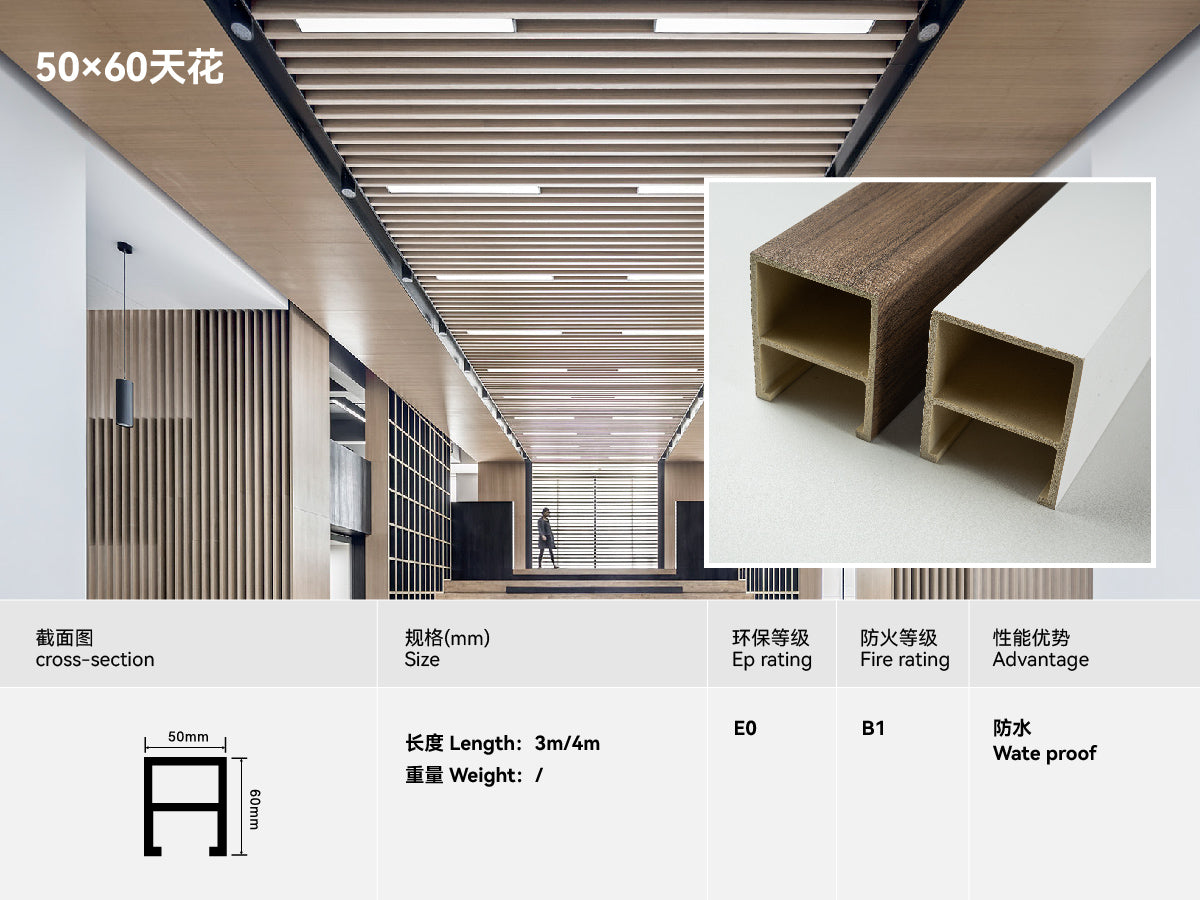 Ceiling 50*60