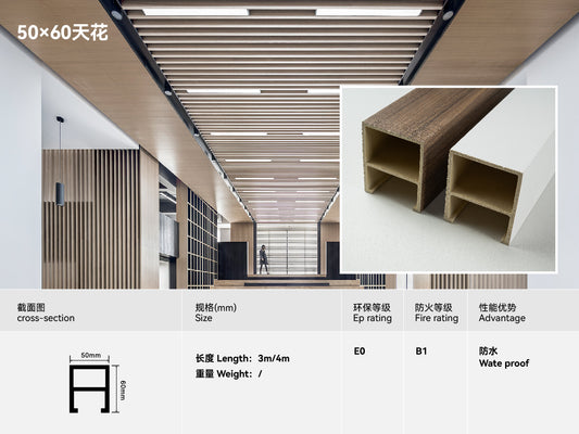 Ceiling 50*60
