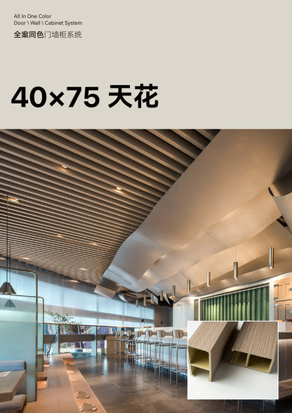 Ceiling 40*75