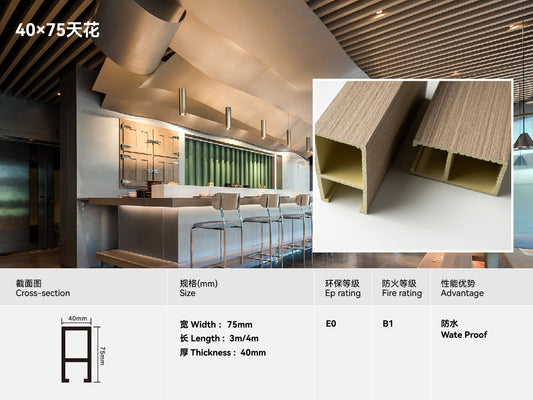 Ceiling 40*75