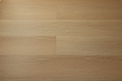 20231 Series